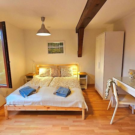 Park Apartment Kraków Zewnętrze zdjęcie