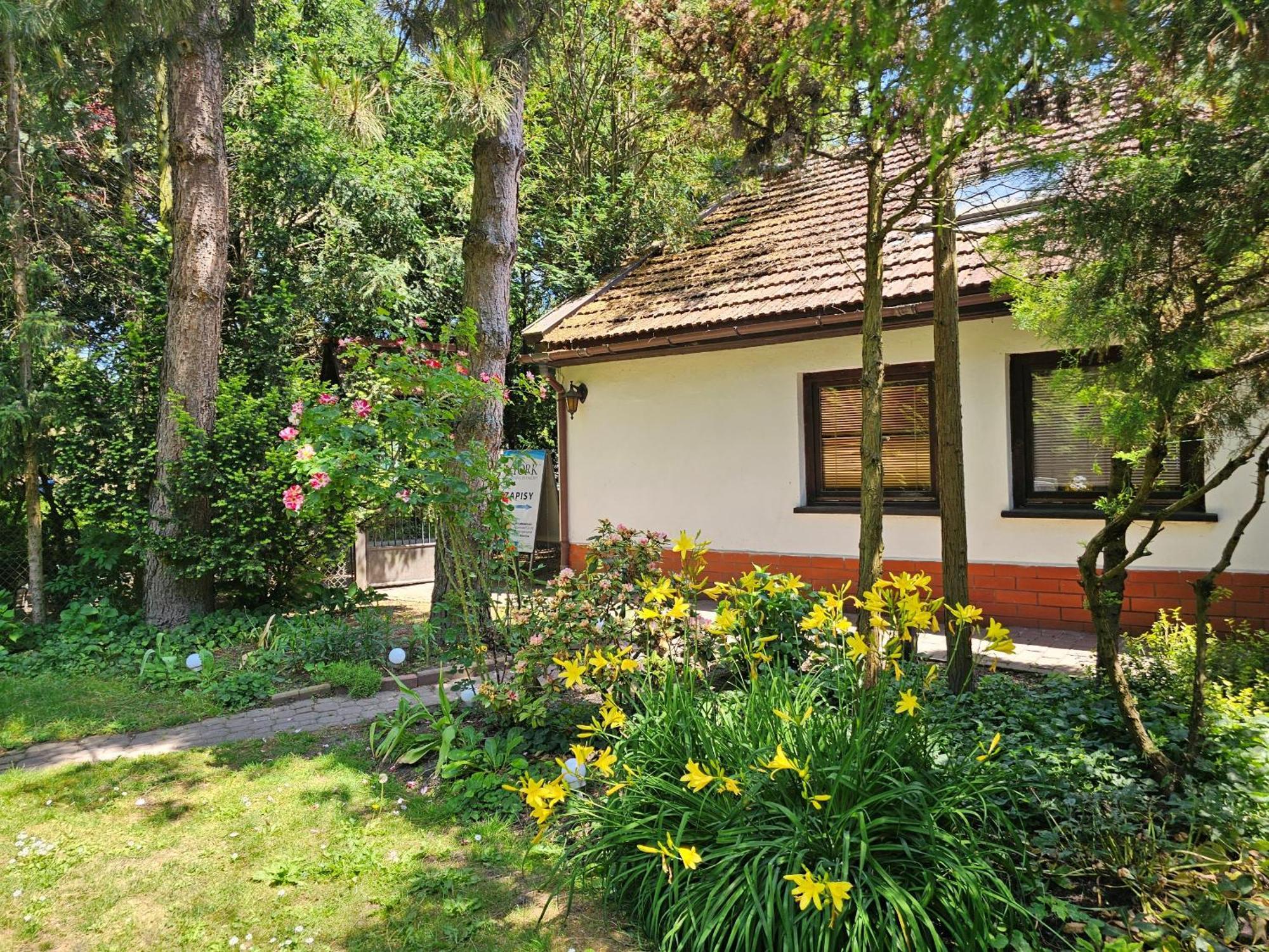 Park Apartment Kraków Zewnętrze zdjęcie